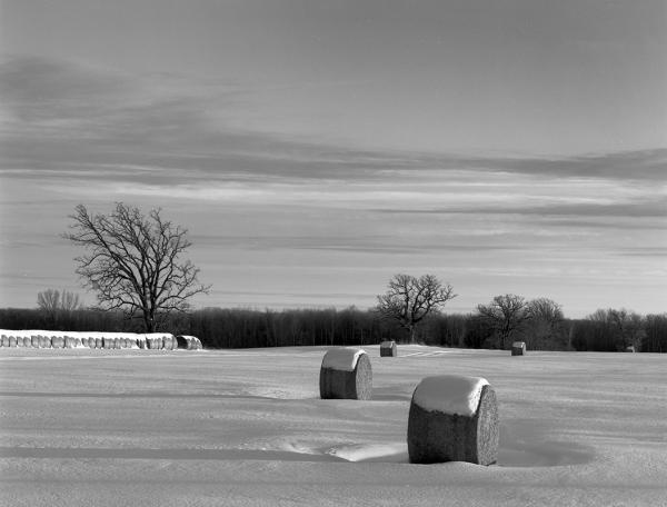 Hay Bales picture