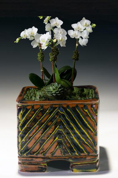 Orchid Pot picture