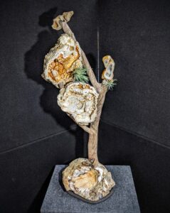 Agatized Coral on Driftwood Sculpture picture