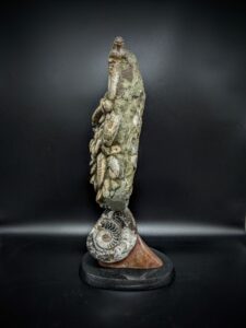 Irridescent Ammonite Sculpture picture