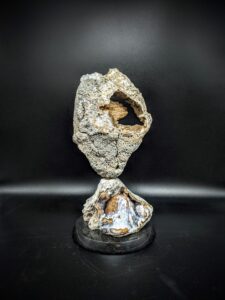 Agatized Coral Sculpture picture