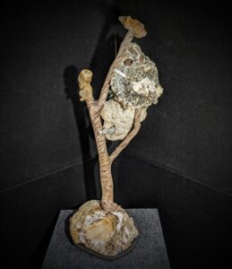 Agatized Coral on Driftwood Sculpture picture