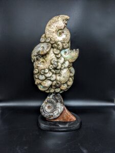 Irridescent Ammonite Sculpture