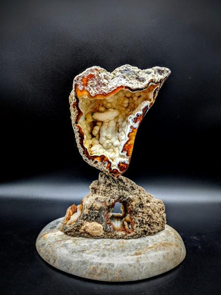 Tampa Bay Agatized Coral Sculpture picture