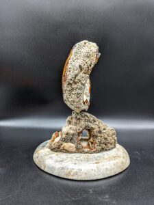 Tampa Bay Agatized Coral Sculpture picture