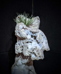 Agatized Coral Sculpture picture