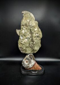 Irridescent Ammonite Sculpture picture