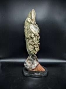 Irridescent Ammonite Sculpture picture