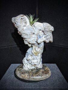 Agatized Coral Sculpture picture