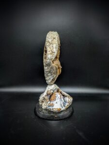 Agatized Coral Sculpture picture