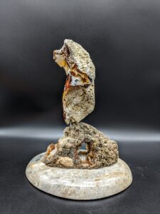 Tampa Bay Agatized Coral Sculpture picture
