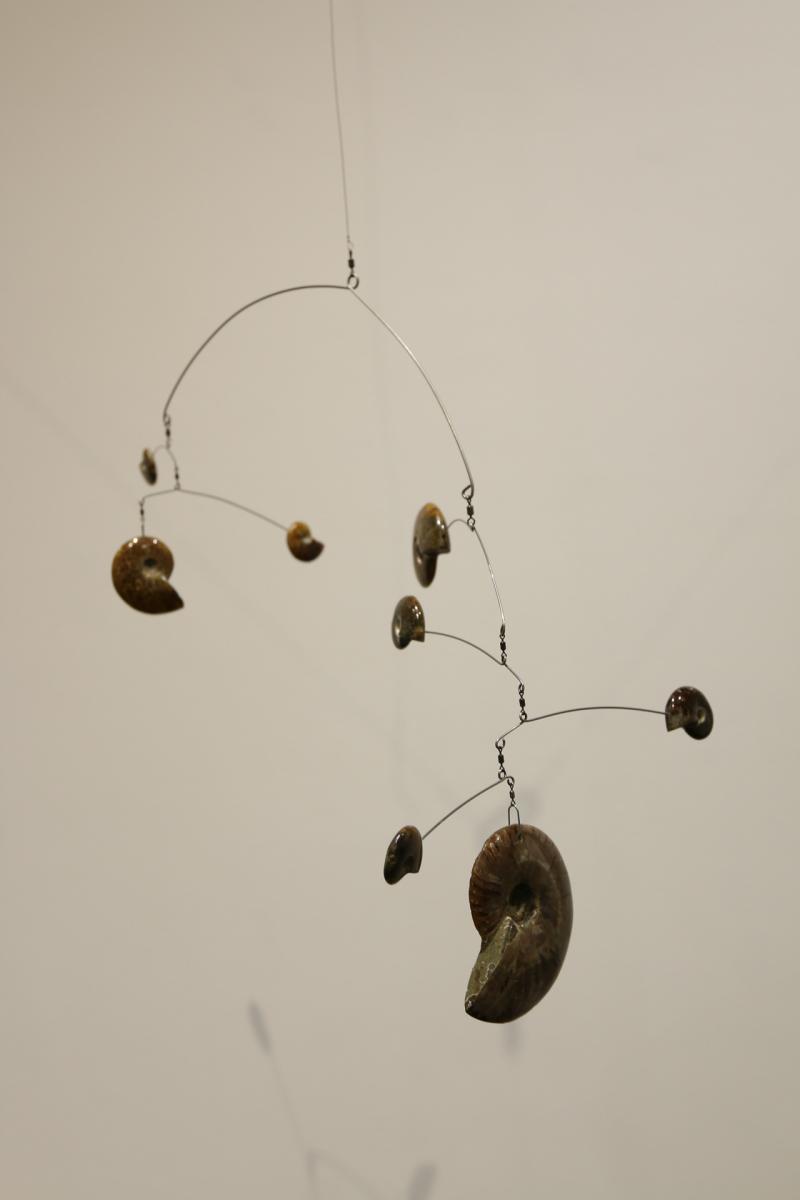 Fossil Mobile #2 picture