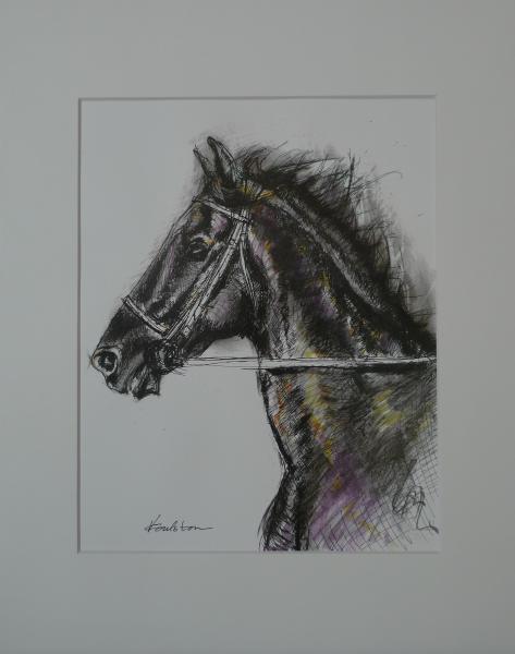Assorted Horse Prints picture