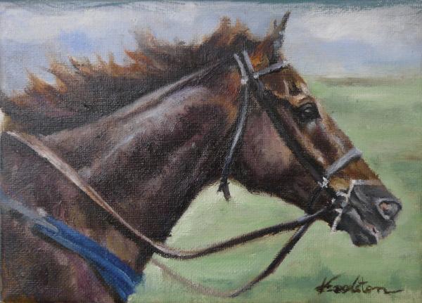 Racehorse picture