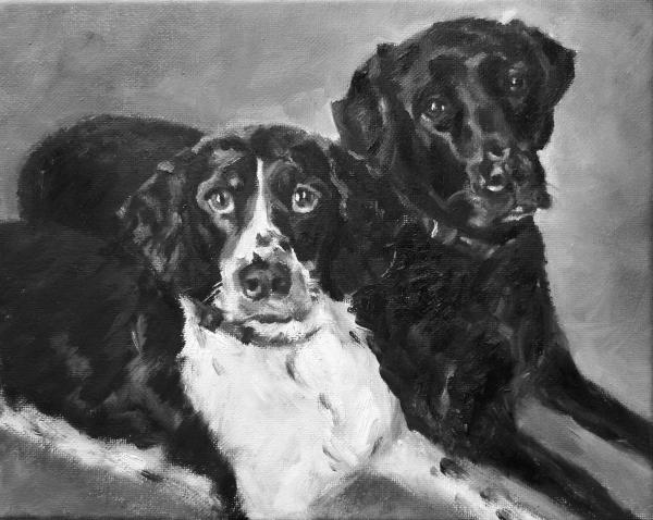 Pet Portrait Commissions - examples picture