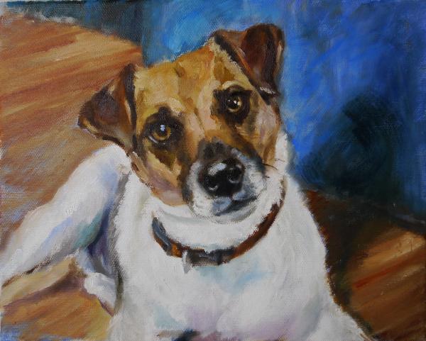 Pet Portrait Commissions - examples picture