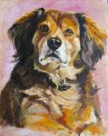Pet Portrait Commissions - examples