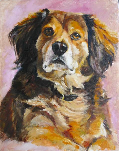 Pet Portrait Commissions - examples