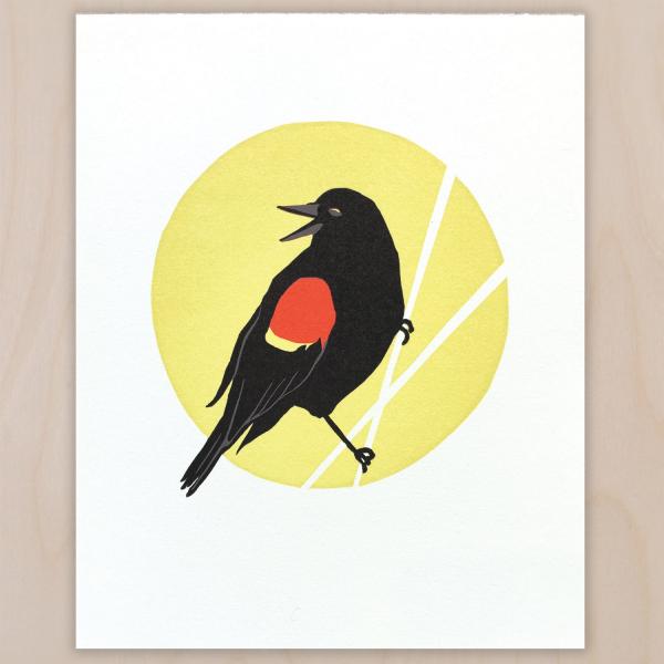 Red-winged Blackbird