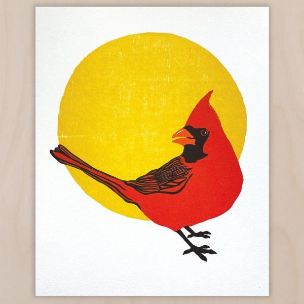 Northern Cardinal