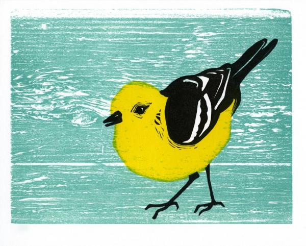 Warbler