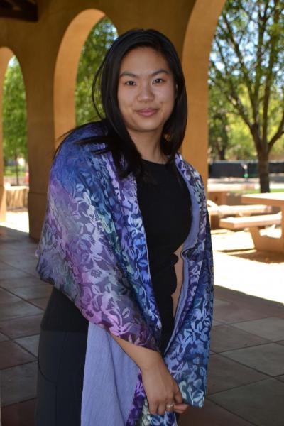 Purple Silk Wool Scarf picture