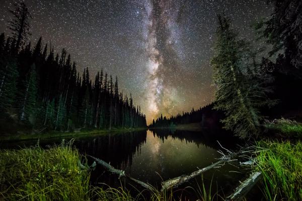 Lake Irene Night Skies