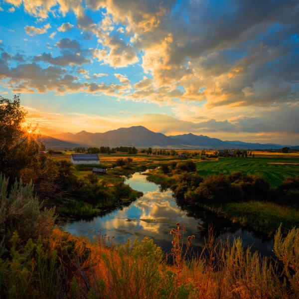 Sagebrush Sunrise