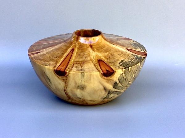 Norfolk pine vessel