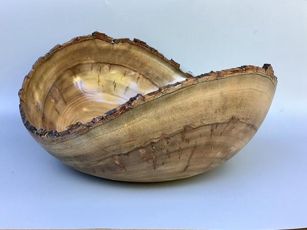 Camphor natural edge bowl