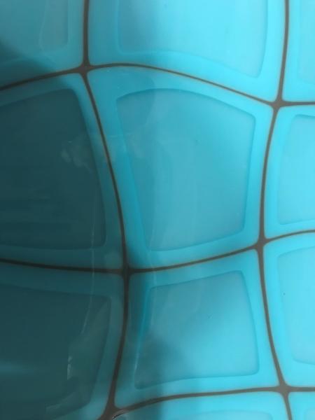 Turtle Shell Plate picture
