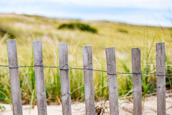 Beach Fence, Provincetown, MA picture