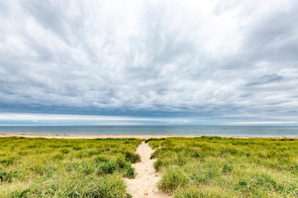 Beach Access, Provincetown, MA picture