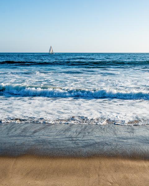 Layers of Beach, Venice Beach picture