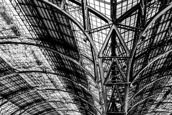 Train Station Rafters, Barcelona picture