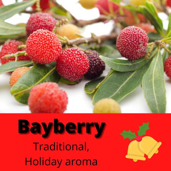 Bayberry Bath Bomb | Christmas Bath Bomb | Christmas Stocking Stuffer | Gifts for Her | Gifts Under 10 picture