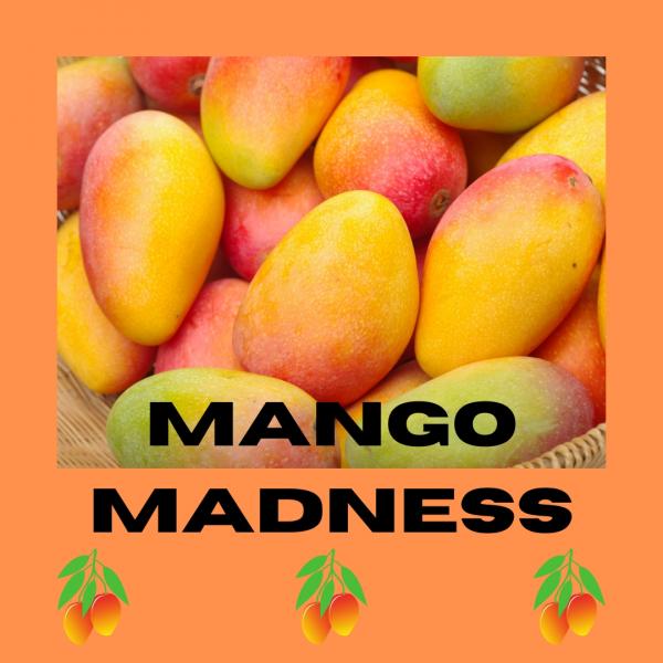 Natural Lip Balm | Mango Madness Flavored Lip Balm | Gifts for Her | Stocking Stuffers under 5