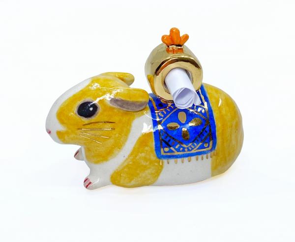 Guinea Pig Wish Carrier