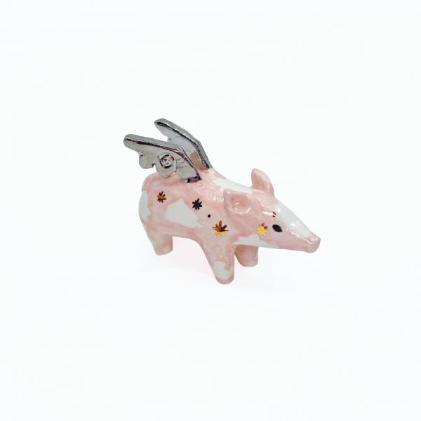 Flying Pig picture