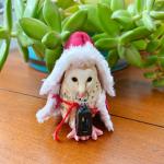 Fairy Tale Owl