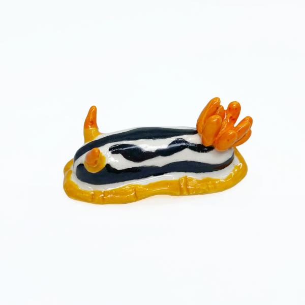 Nudibranch - Chromodoris Magnifica picture