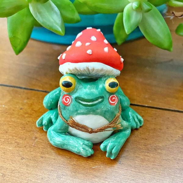 Frog with Mushroom hat picture