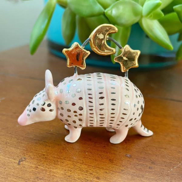 Mystical Armadillo picture