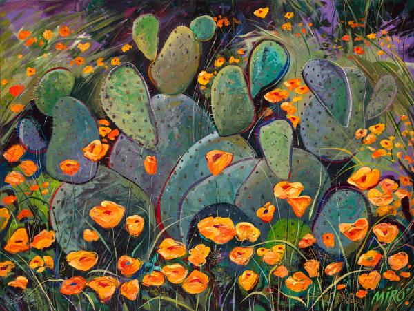 Desert Poppies