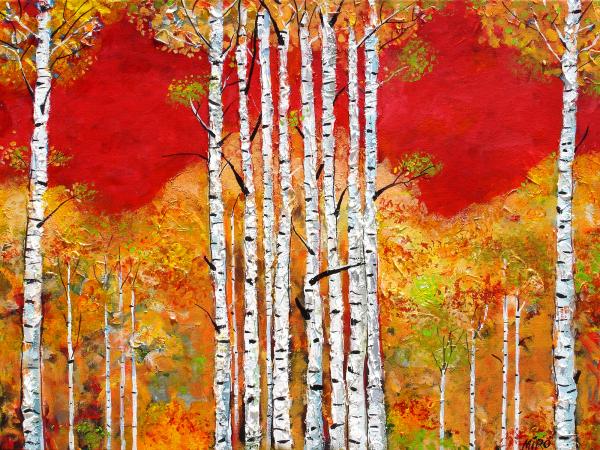 Red Sky Aspens