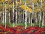 Aspen Forest