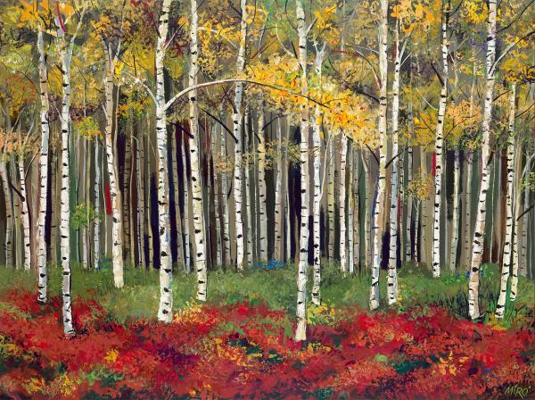 Aspen Forest