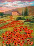 Tuscany Poppies