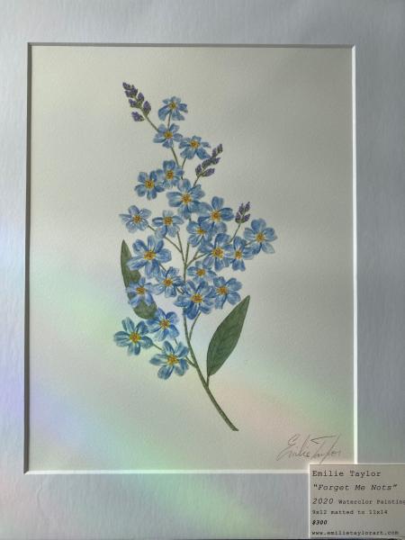 Forget Me Nots picture
