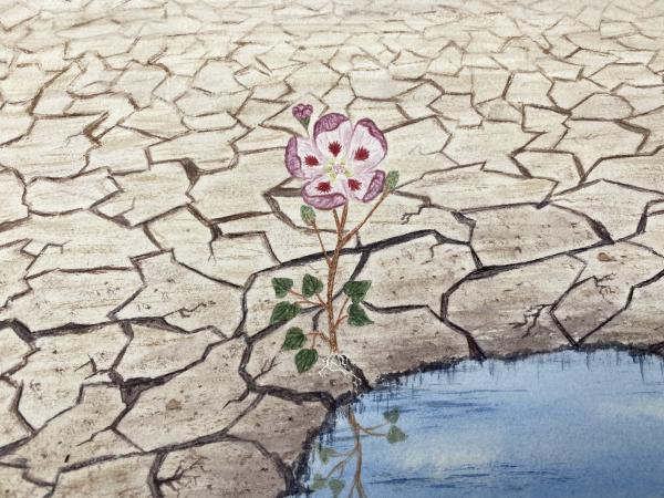 Hope is a seed you have to Sow picture